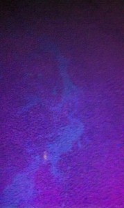 Carpet Cleaning - Black Light - Urine (2)